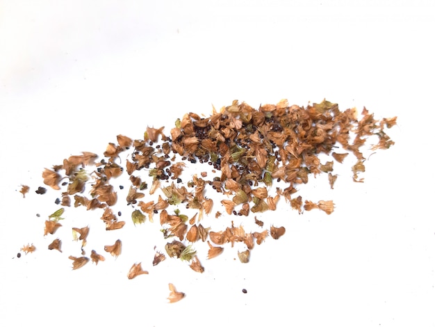 Pile of basil seed