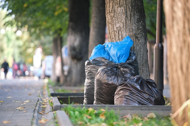 Pile of black garbage bags full of litter left for pick up on street side Trash disposal concept