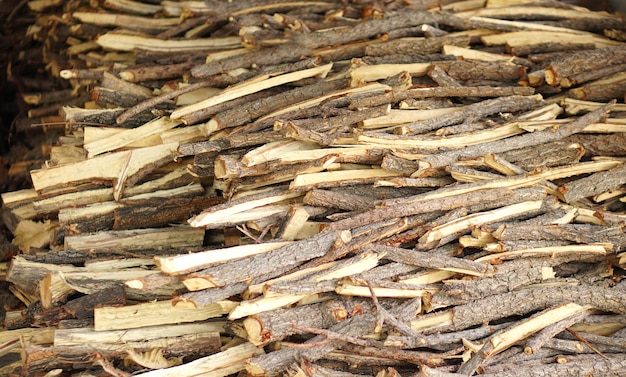 Pile of branches are used as fuel for cooking