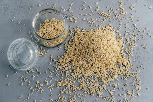 Pile of buckwheat sprouts in glass jar over grey background Buckwheat grains Vitamins and healthy eating concept Tasty breakfast