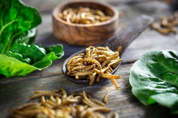 a pile of caterpillars sits on a wooden table