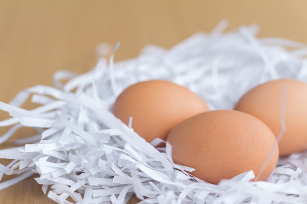 Pile of chicken eggs