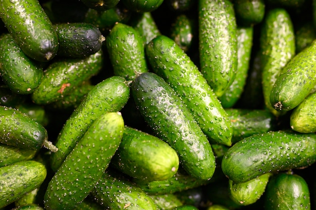 A pile of cucumbers background