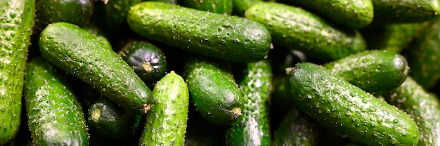 A pile of cucumbers background