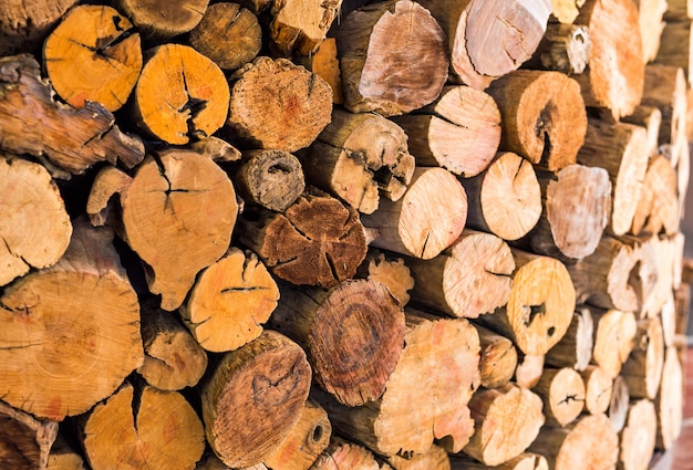 Pile of cut wood stump log texture