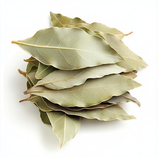 Photo a pile of dried bay leaves isolated on white background