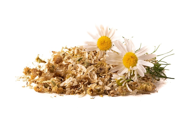 A pile of dried herb pharmacy medicinal chamomile with fresh flowers on a white background