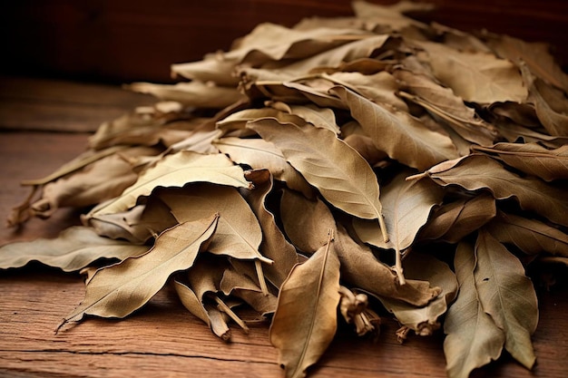 a pile of dried leaves