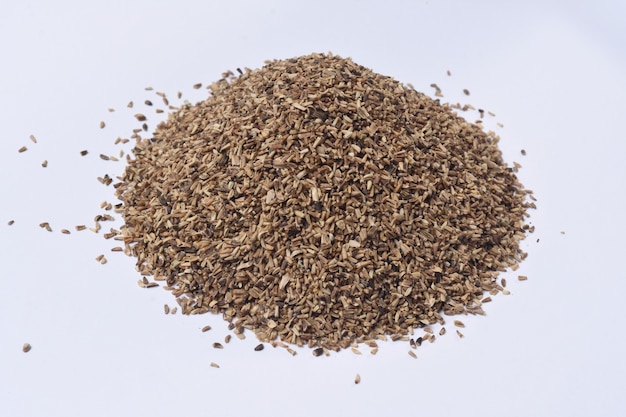 Pile of endive seeds on white background