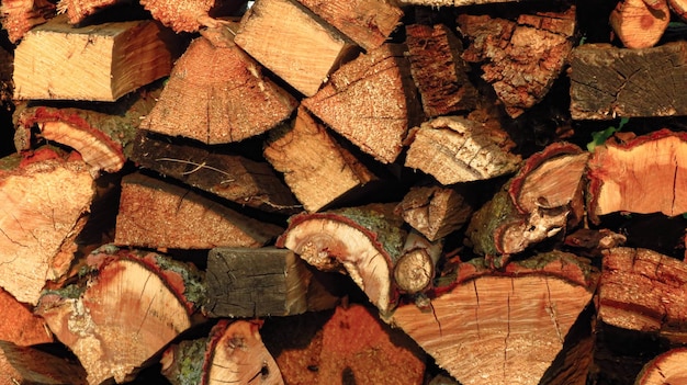 Pile of firewood texture and so beautifull