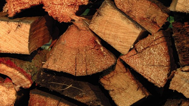 Pile of firewood texture and so beautifull