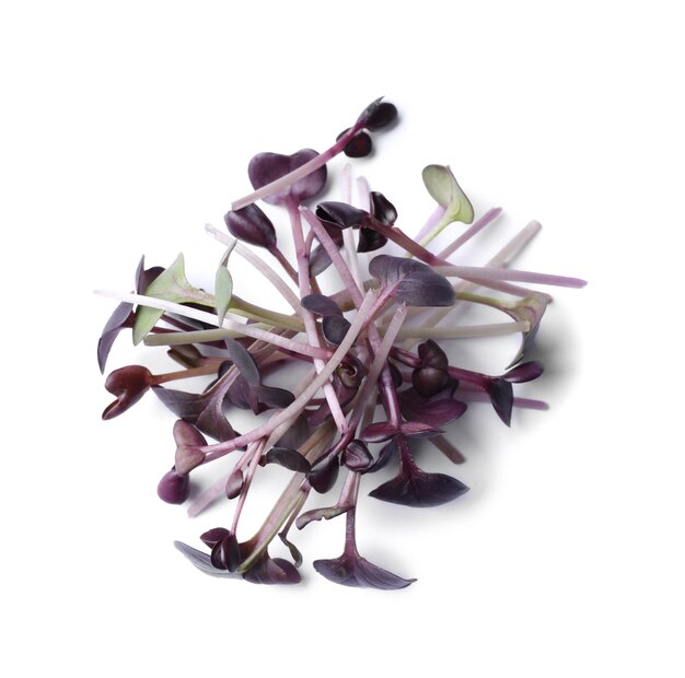 Pile of fresh microgreens isolated on white top view