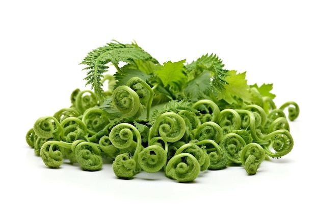 A pile of fresh organic vegetables with a white background.