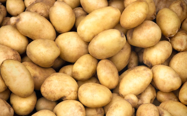 Pile of fresh potatoes on sale in vegetable stand display at supermarket show organic food, vegetarian food, Healthy food. Heap of potato sale in market use for texture and background.