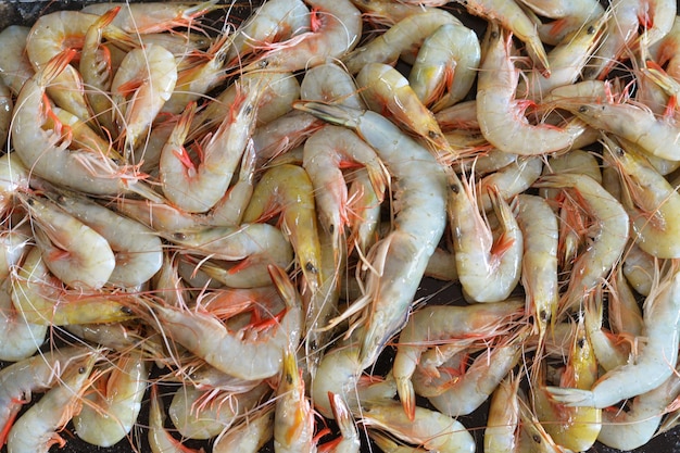 Pile of fresh shrimps, close up view