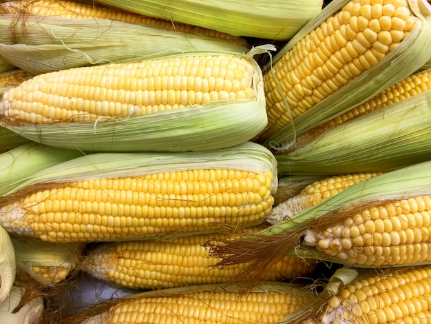 Pile of Fresh Young Corns