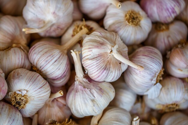 Pile of garlic view from the top.