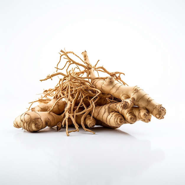 a pile of ginger root with roots that have roots