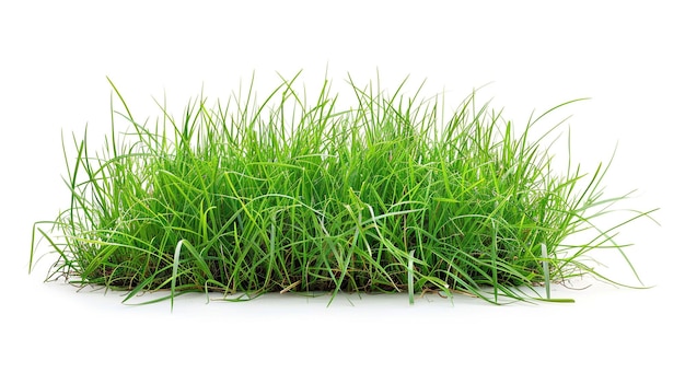 a pile of grass with the word grass on it