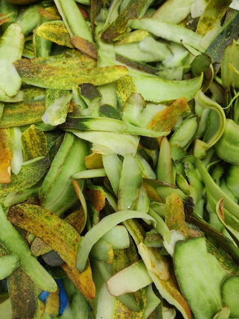 A pile of green and yellow vegetables with the word cucumber on it.