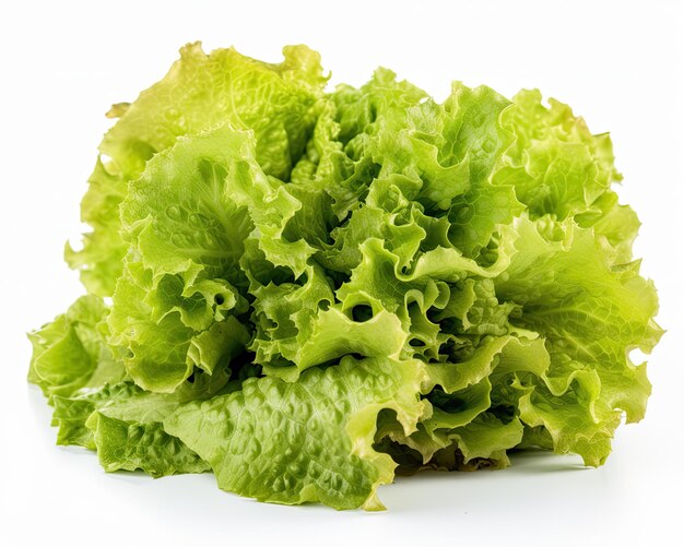 A pile of lettuce with the word lettuce on it