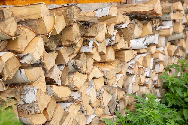 A pile of logs of birch wood stacked neatly along the wall