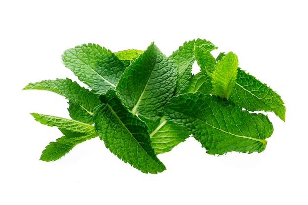 Pile of mint leaves isolated on white background, top view