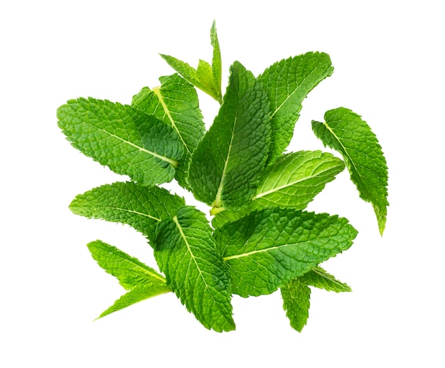 Pile of mint leaves isolated on white background