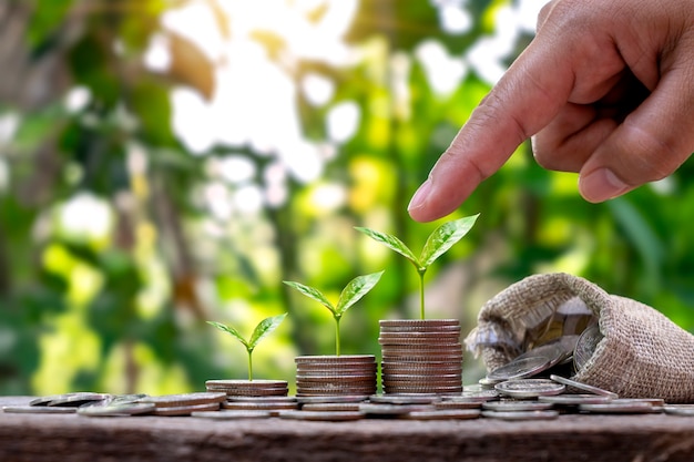 The pile of money tree planted in sequence includes a coin holding hand with a tree on the coin