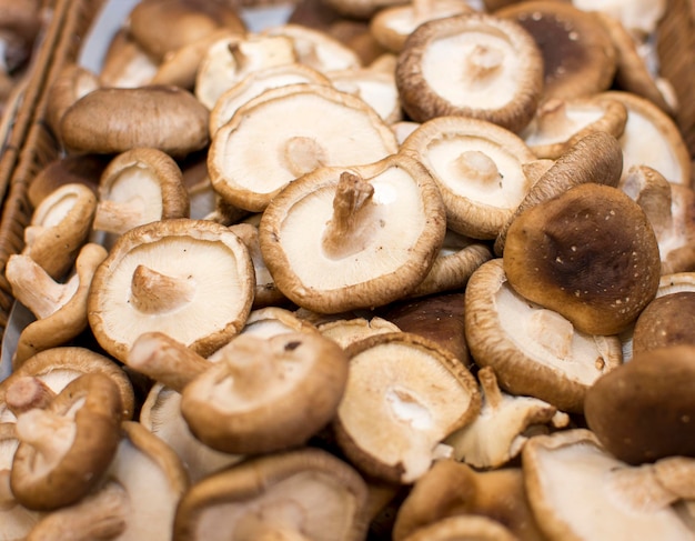 A pile of mushrooms with the top one on the bottom left.