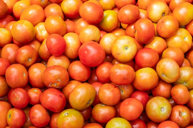 A pile of organic fresh ripe tomatoes close up shot