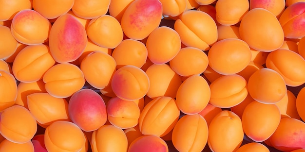 a pile of peaches is shown in a photo