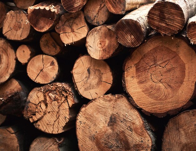 Pile of pine wood Closeup of logs of trees in nature