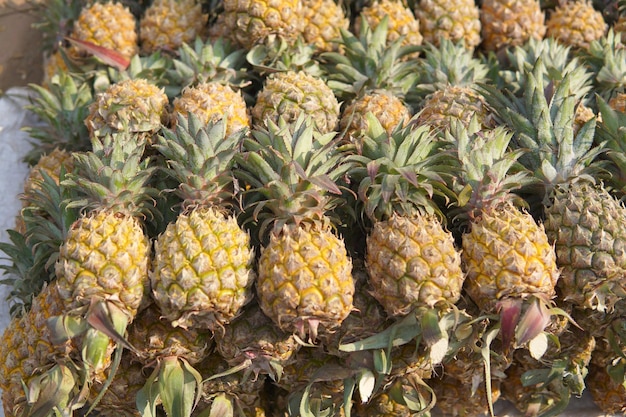 A pile of pineapples with the word pineapple on the top.