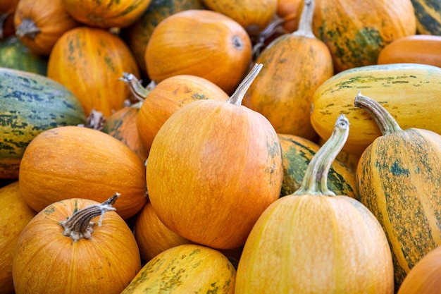 Pile of pumpkins top view