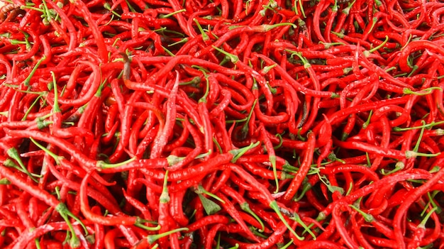 Photo a pile of red peppers with the word  on the bottom