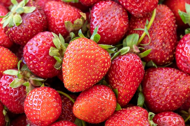 Pile of ripe strawberries Fruit background close up