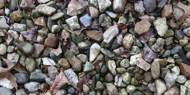 A pile of rocks with a green leaf on the top.