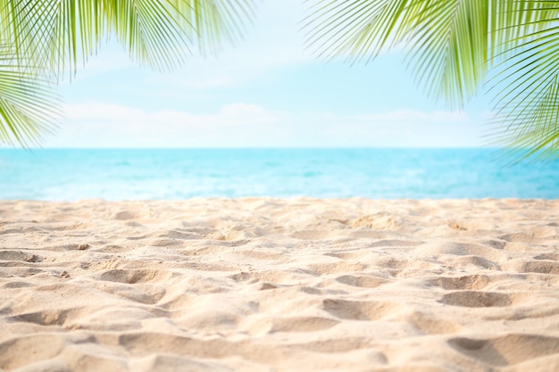 Pile sand beach with palm leaves or coconut leaves at coast and blur blue sea with bokeh with blue sky