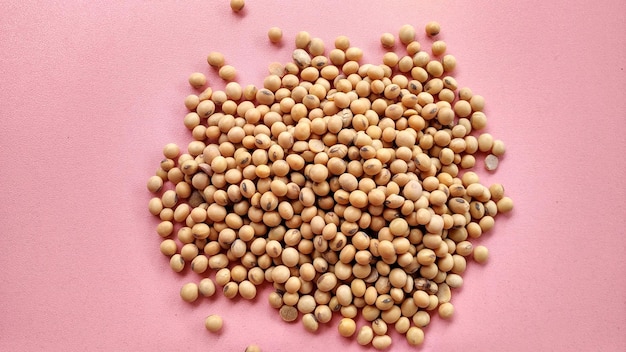 A pile soybeans isolated on pink background. Glycine max is the best nut for protein intake