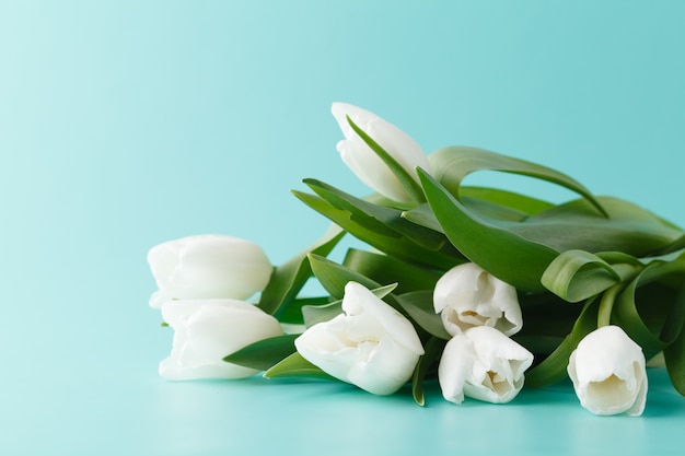 Pile of spring tulips