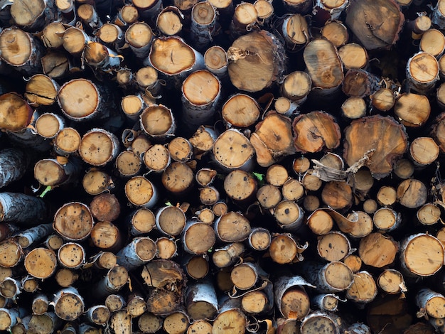 pile stacked natural sawn wooden logs background - deforestation. Close-up view.