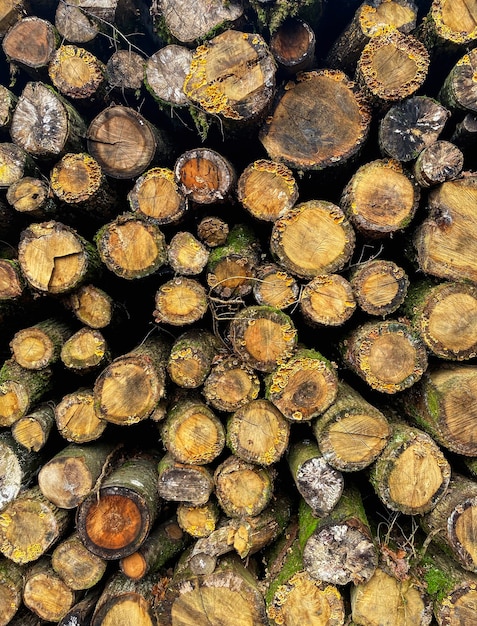 A pile stacked natural sawn wooden logs