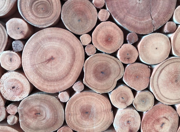 Pile of wood logs ready for winter