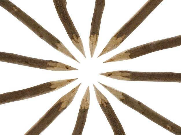 Pile of wood transparent background