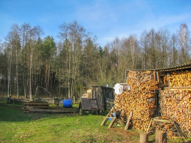 a pile of wood with a blue bucket next to it In the village Country life In the courtyard