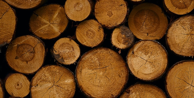 A pile of wood with the word " o " on it