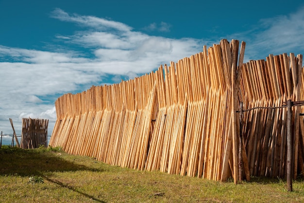 The piles of wood are placed to dry in Iringa region before shipped to various places in Tanzania