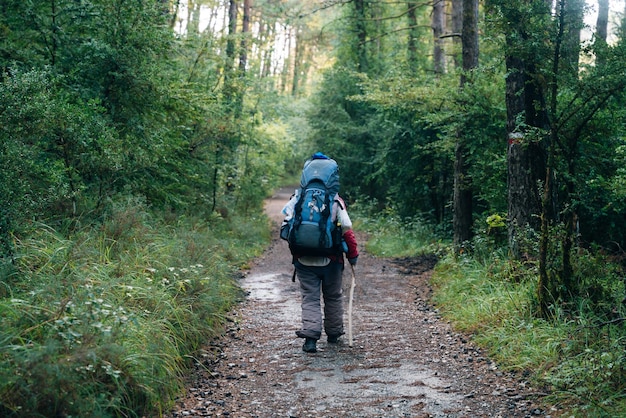 pilgrim trail through the forest to santiago spain may 2023