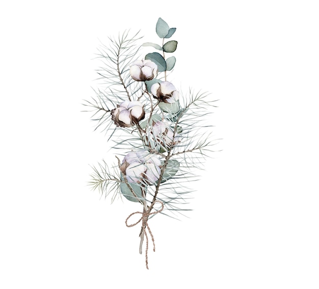 Pine branch wiht the cones green eucalyptus leaves cotton watercolor isolated Christmas theme